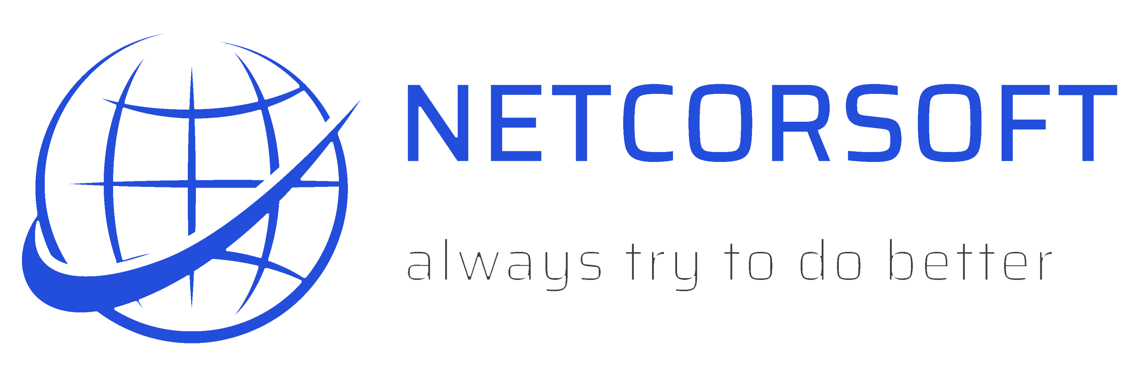 NetCorSoft Logo